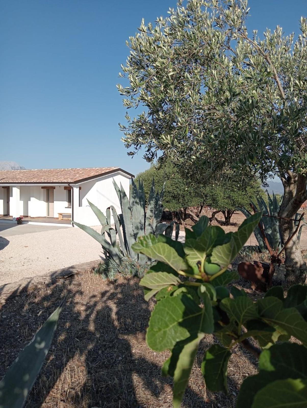 Agriturismo Sa Murta Dorgali Exterior photo